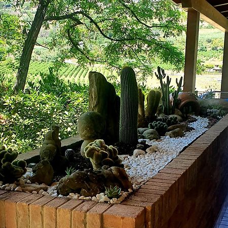 B&B Land & Sea Campofilone Luaran gambar