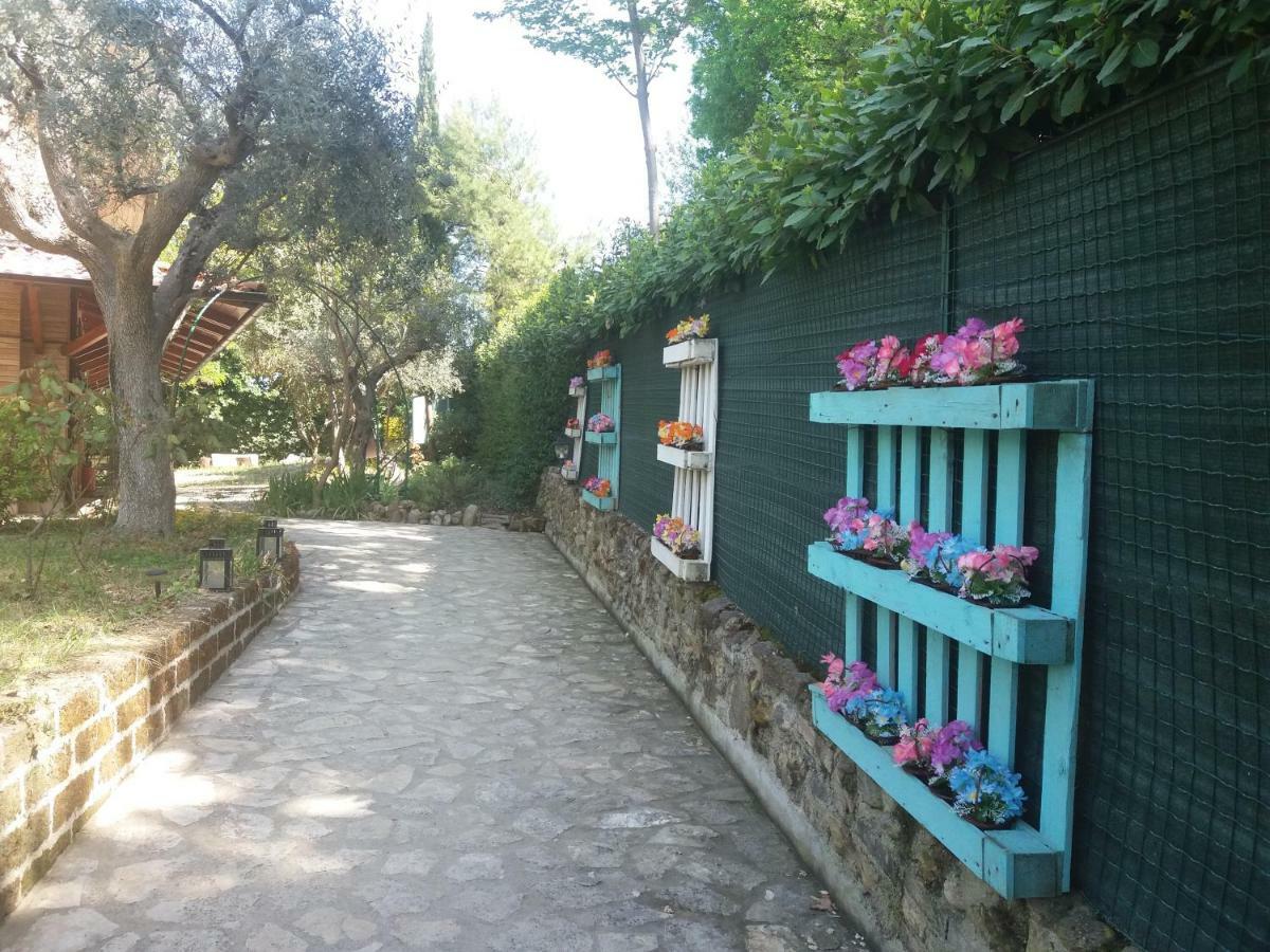 B&B Land & Sea Campofilone Luaran gambar