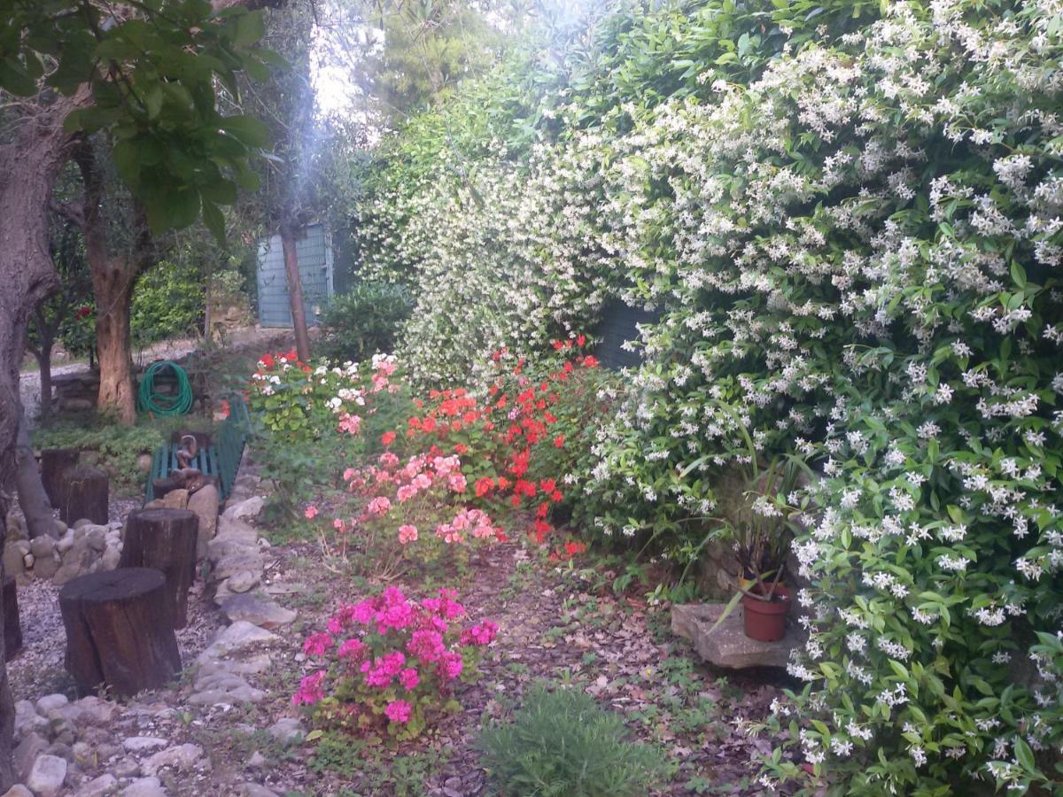 B&B Land & Sea Campofilone Luaran gambar